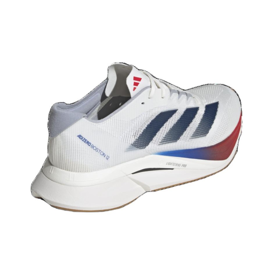 Zapatillas para correr Adidas  - Adidas Shoes Adizero Boston 12 reseña y precio